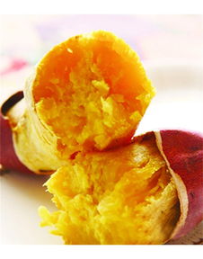 泉城烤薯加盟詳解 費(fèi)用、總部及地瓜坊餐飲管理分析